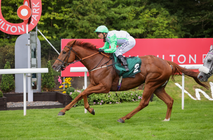 Horse racing at Hamilton
